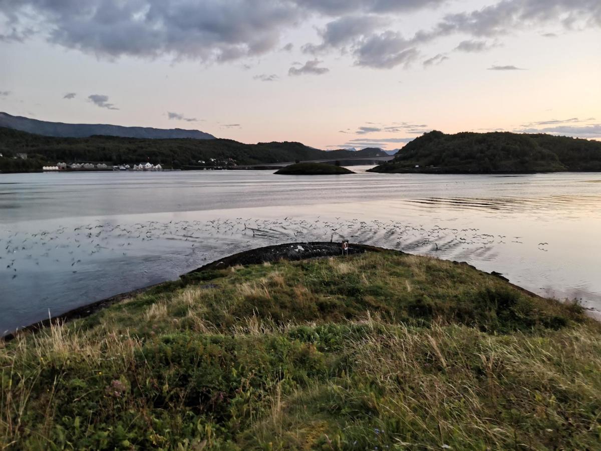 Sokkelleilighet Rett Ved Saltstraumen 波多 外观 照片
